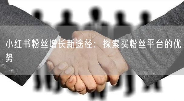 小红书粉丝增长新途径：探索买粉丝平台的优势