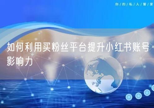 如何利用买粉丝平台提升小红书账号影响力