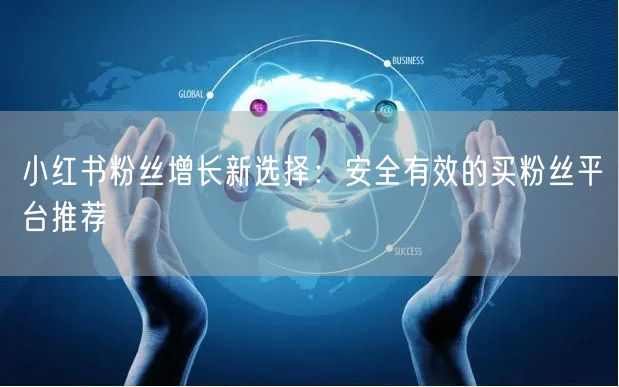 小红书粉丝增长新选择：安全有效的买粉丝平台推荐
