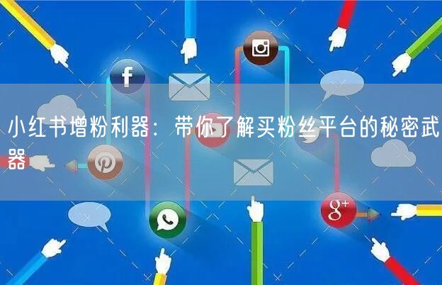 小红书增粉利器：带你了解买粉丝平台的秘密武器