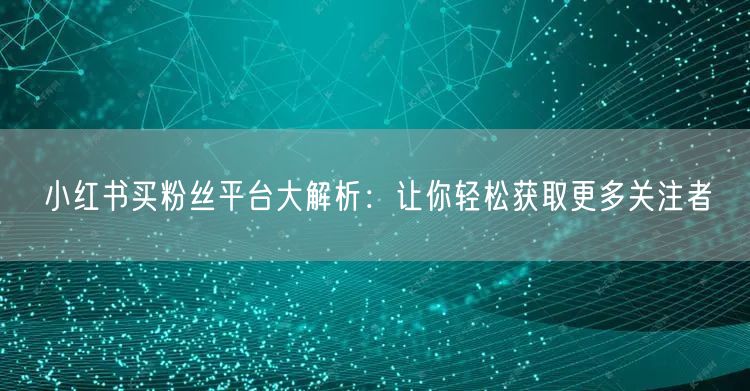 小红书买粉丝平台大解析：让你轻松获取更多关注者