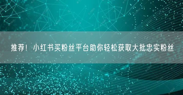 推荐！小红书买粉丝平台助你轻松获取大批忠实粉丝