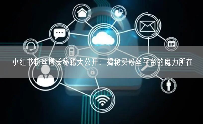 小红书粉丝增长秘籍大公开：揭秘买粉丝平台的魔力所在
