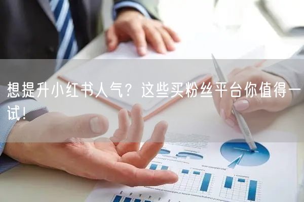 想提升小红书人气？这些买粉丝平台你值得一试！