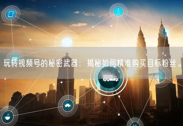玩转视频号的秘密武器：揭秘如何精准购买目标粉丝。