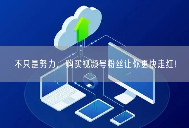 不只是努力，购买视频号粉丝让你更快走红！