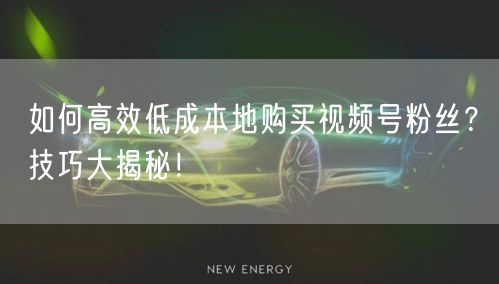 如何高效低成本地购买视频号粉丝？技巧大揭秘！