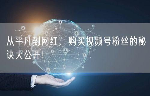 从平凡到网红，购买视频号粉丝的秘诀大公开！