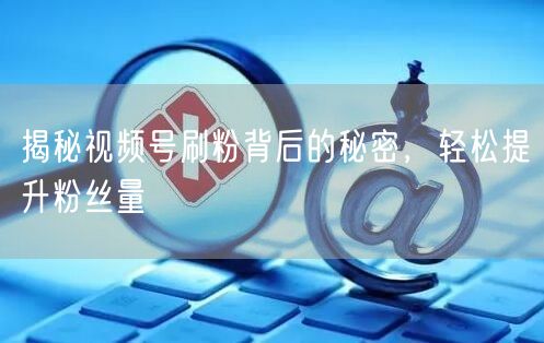 揭秘视频号刷粉背后的秘密，轻松提升粉丝量