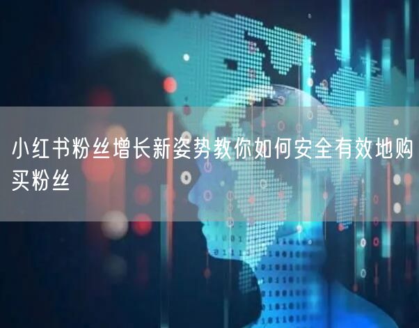 小红书粉丝增长新姿势教你如何安全有效地购买粉丝