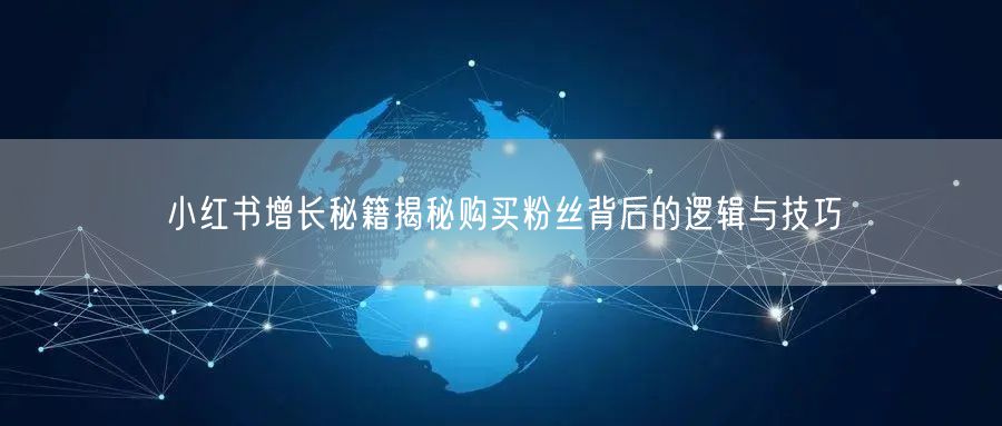 小红书增长秘籍揭秘购买粉丝背后的逻辑与技巧