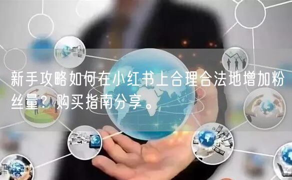 新手攻略如何在小红书上合理合法地增加粉丝量？购买指南分享。