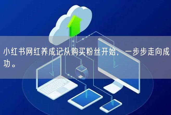 小红书网红养成记从购买粉丝开始，一步步走向成功。