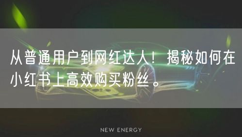 从普通用户到网红达人！揭秘如何在小红书上高效购买粉丝。
