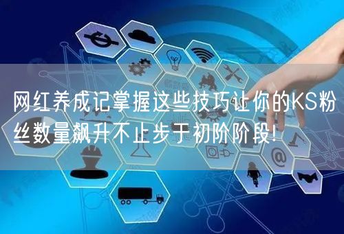 网红养成记掌握这些技巧让你的KS粉丝数量飙升不止步于初阶阶段!
