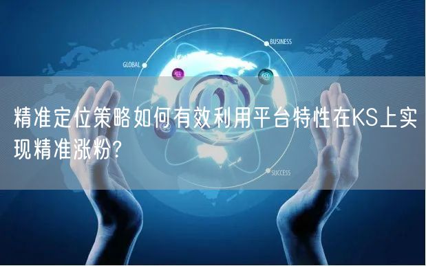 精准定位策略如何有效利用平台特性在KS上实现精准涨粉?