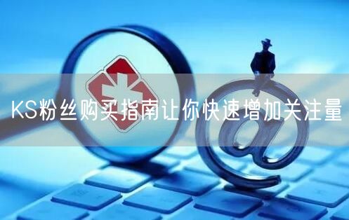 KS粉丝购买指南让你快速增加关注量